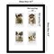 Americanflat 9x11 Mini Instant Photo Collage Picture Frame with 4 Openings for 2.1x3.4 Photos - Double White Mat - Instax Mini Photo Frame - Shatter Resistant Glass - Hanging Hardware with Easel - Black